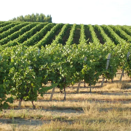 Cosy à Vertou, Près De Nantes, Avec Wi-fi Et Espace Extérieur - Fr-1-306-1217