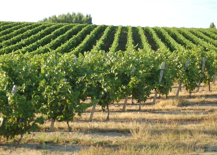 Cosy A Vertou, Pres De Nantes, Avec Wi-fi Et Espace Exterieur - Fr-1-306-1217